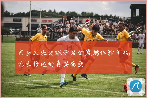 亲历文班打球现场的震撼体验电视无法传达的真实感受