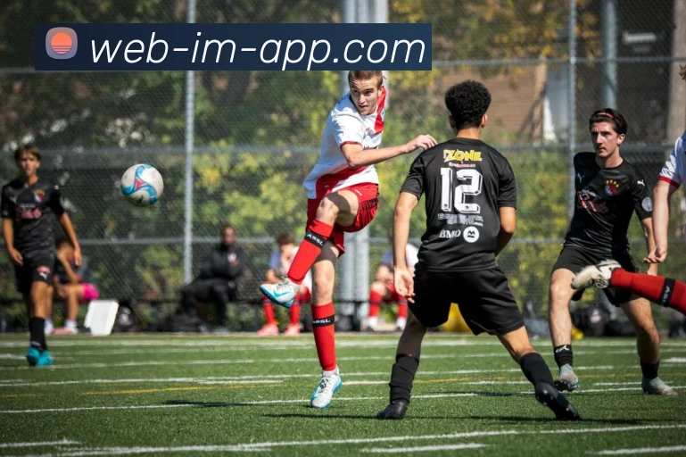 IM体育平台生态图